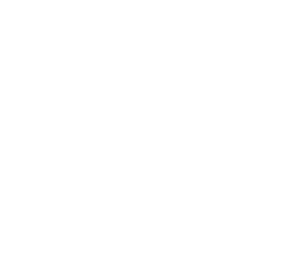 fleur_de_lis_marque_white_png
