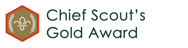 scoutgoldban_edited_1